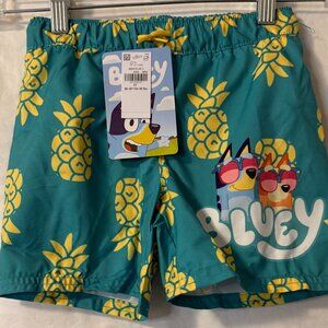 Bluey Swim Trunks for boys with Pineapples Size 4T